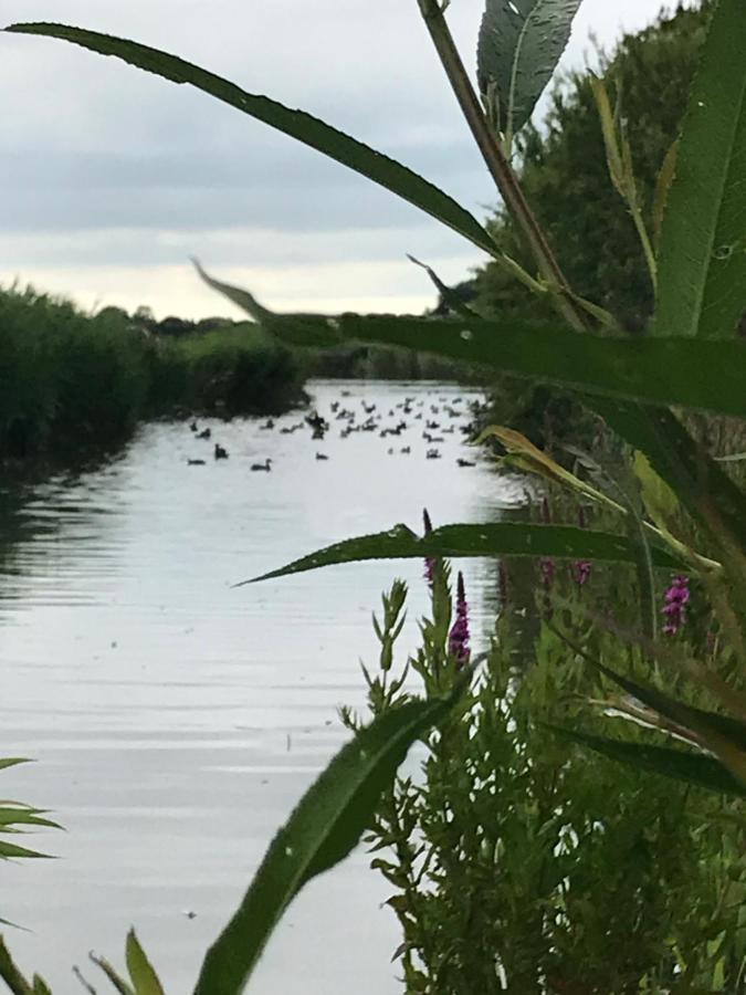 Iris'T; Dijkhuisje In De Polders Van Groede. Villa Esterno foto