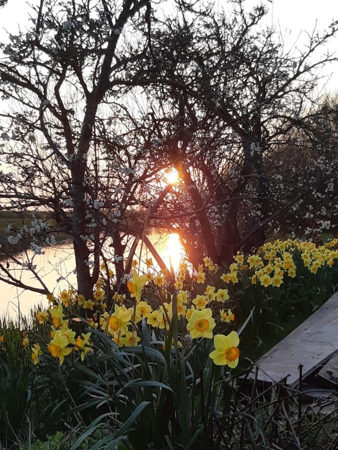 Iris'T; Dijkhuisje In De Polders Van Groede. Villa Esterno foto